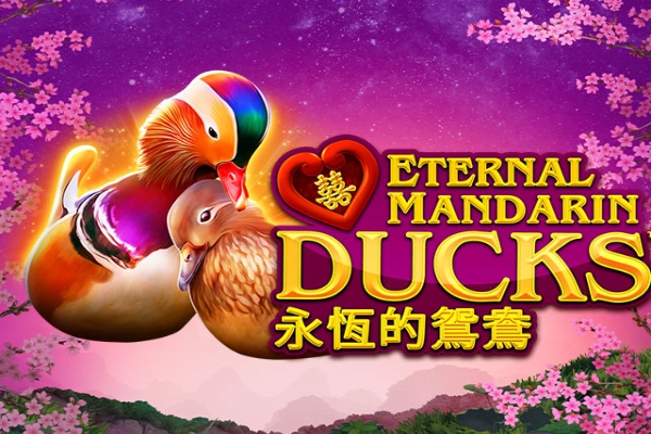 Power Prizes Eternal Mandarin Ducks